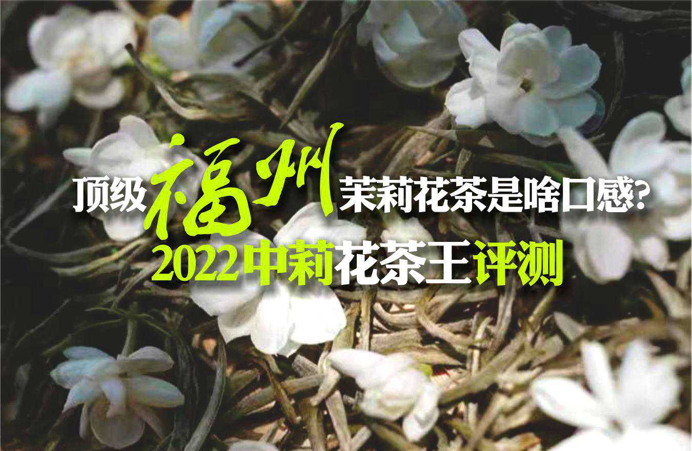 顶级九窨福州茉莉花茶啥口感？中莉花茶王评测，告诉你何为冰糖甜