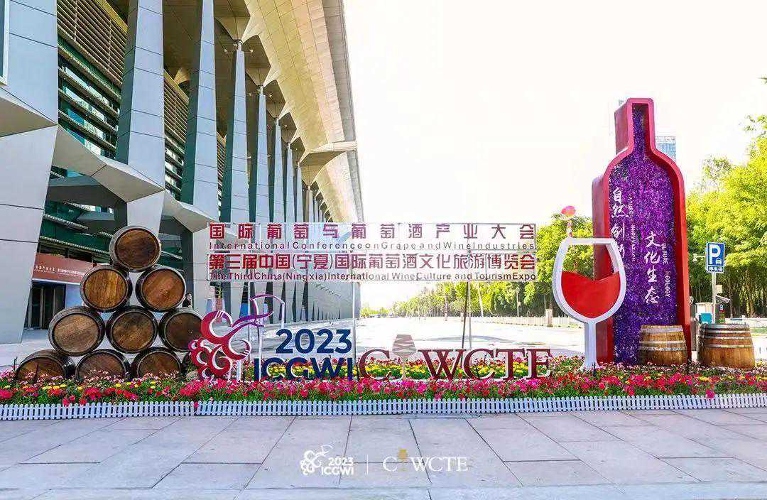 在宁夏，找到风土自信