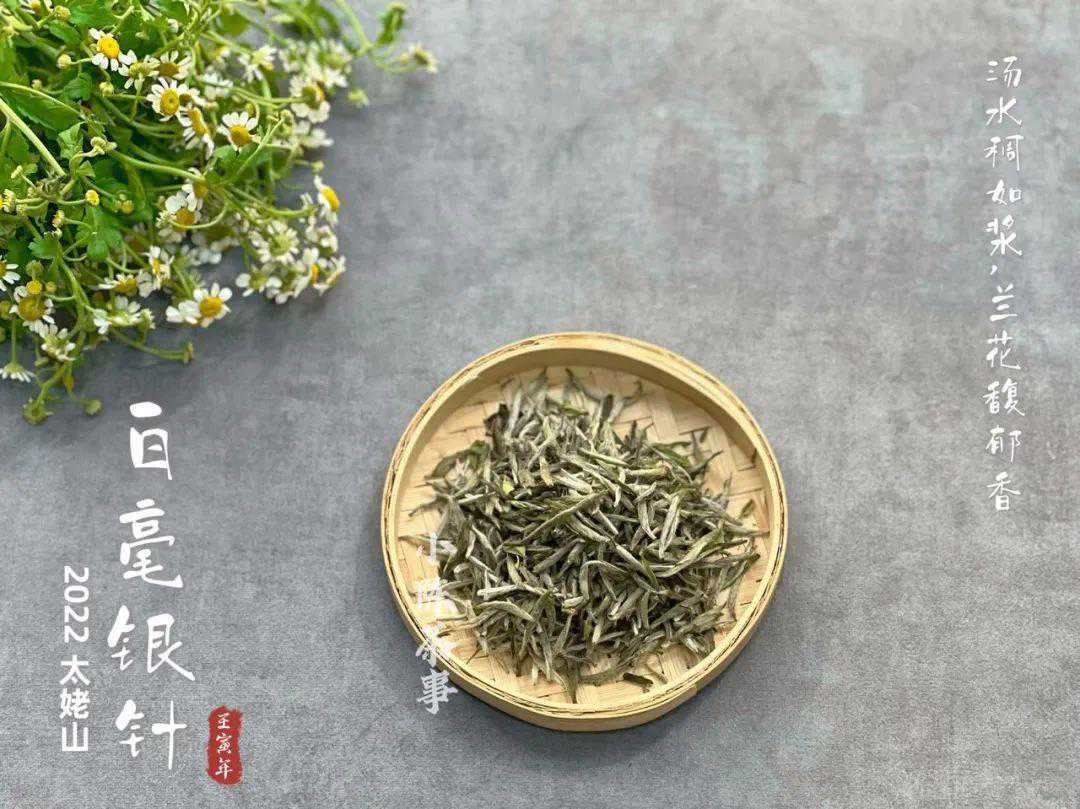 茶叶的适饮期是多久？绿茶、白茶、红茶、普洱，都要趁鲜喝？
